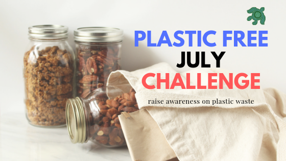 plastic free challenge