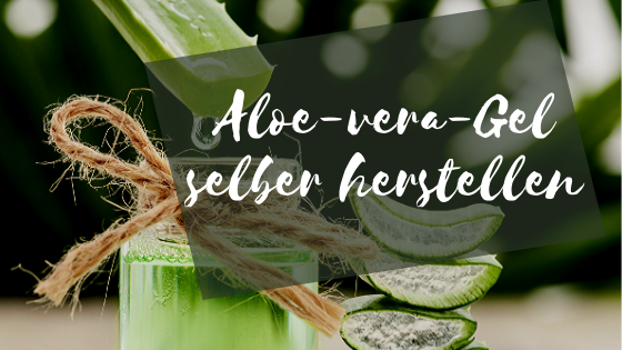 selber maken aloe vera